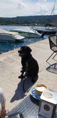 2020-06-16-12078-003-400